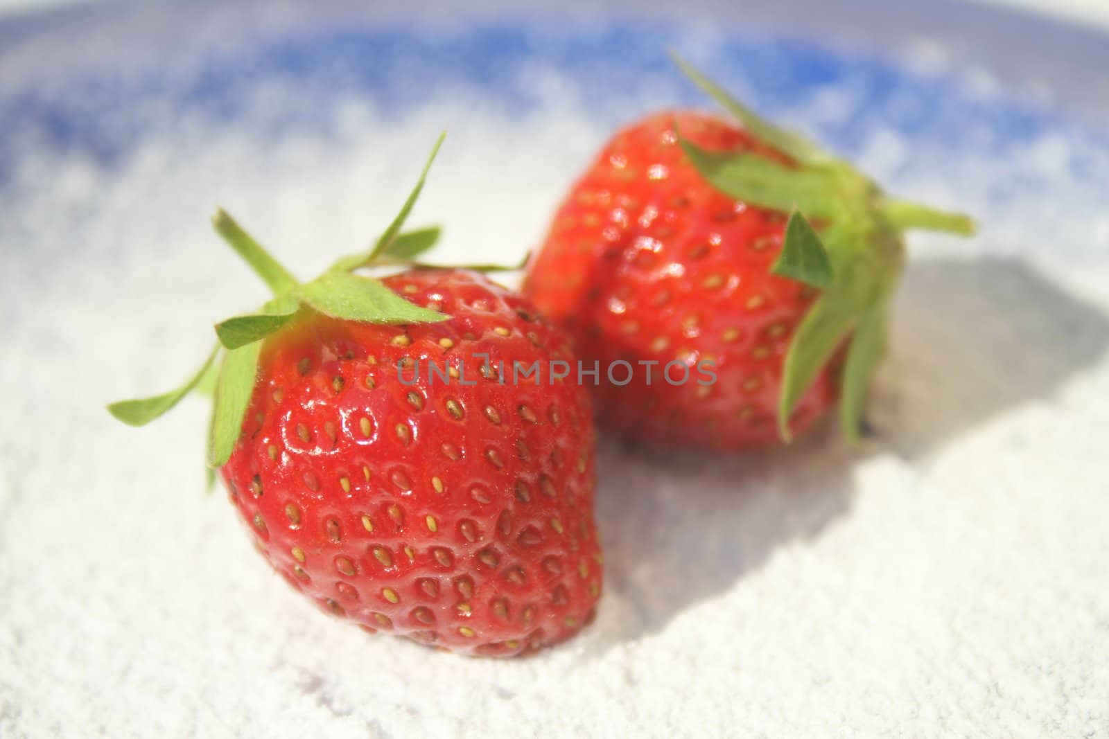 Two ripe red strawberries on blue plate and powdered sugar under them