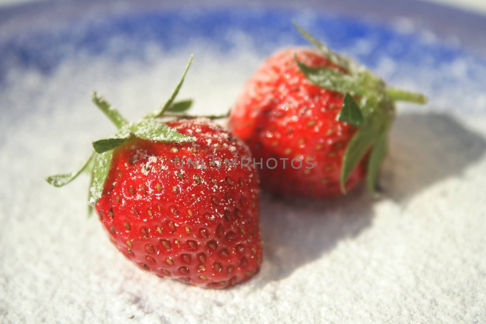 Two ripe red strawberries on blue plate with powered sugar sprinkled on them
