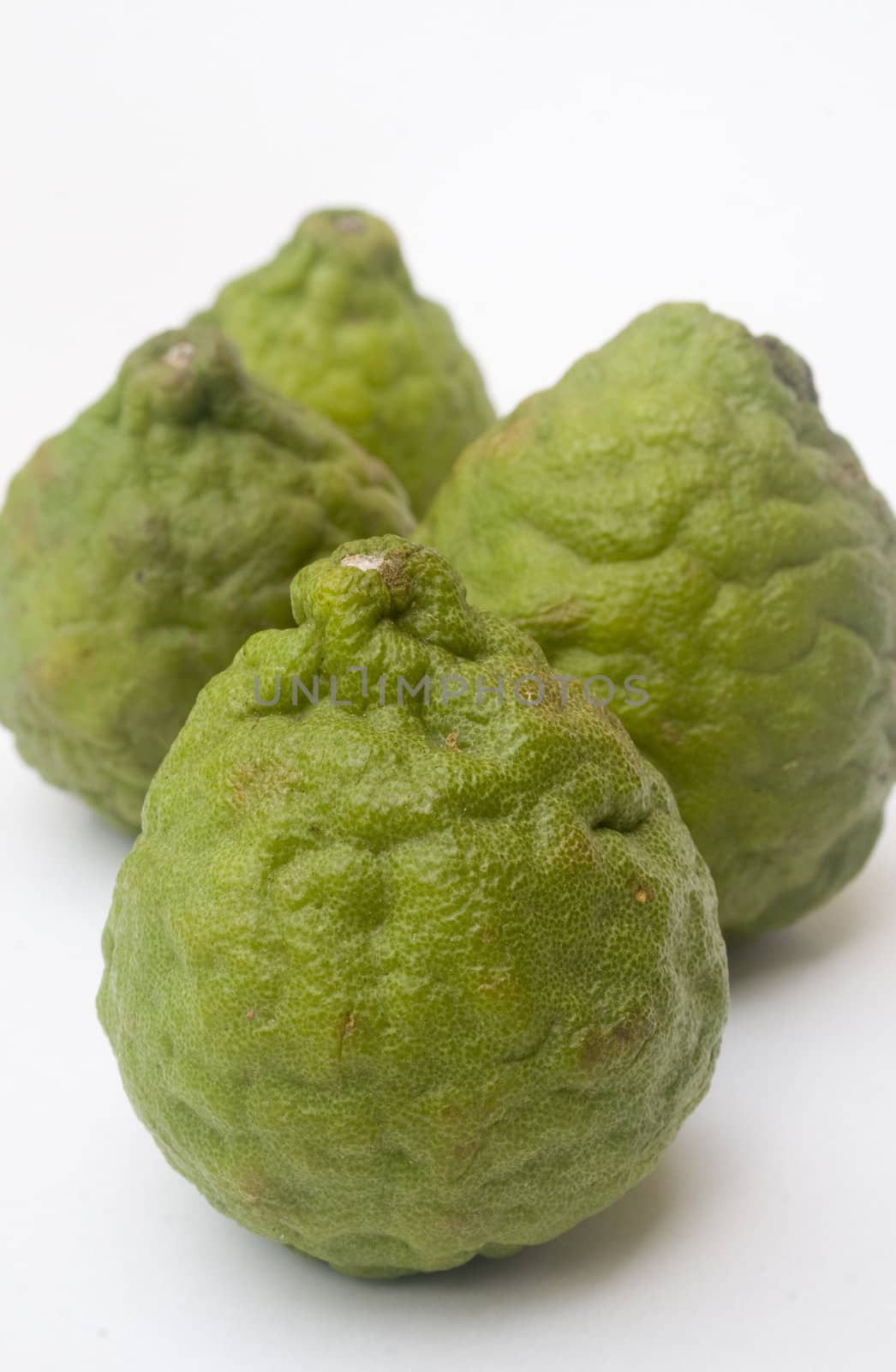 Kaffir limes isolated against a white background