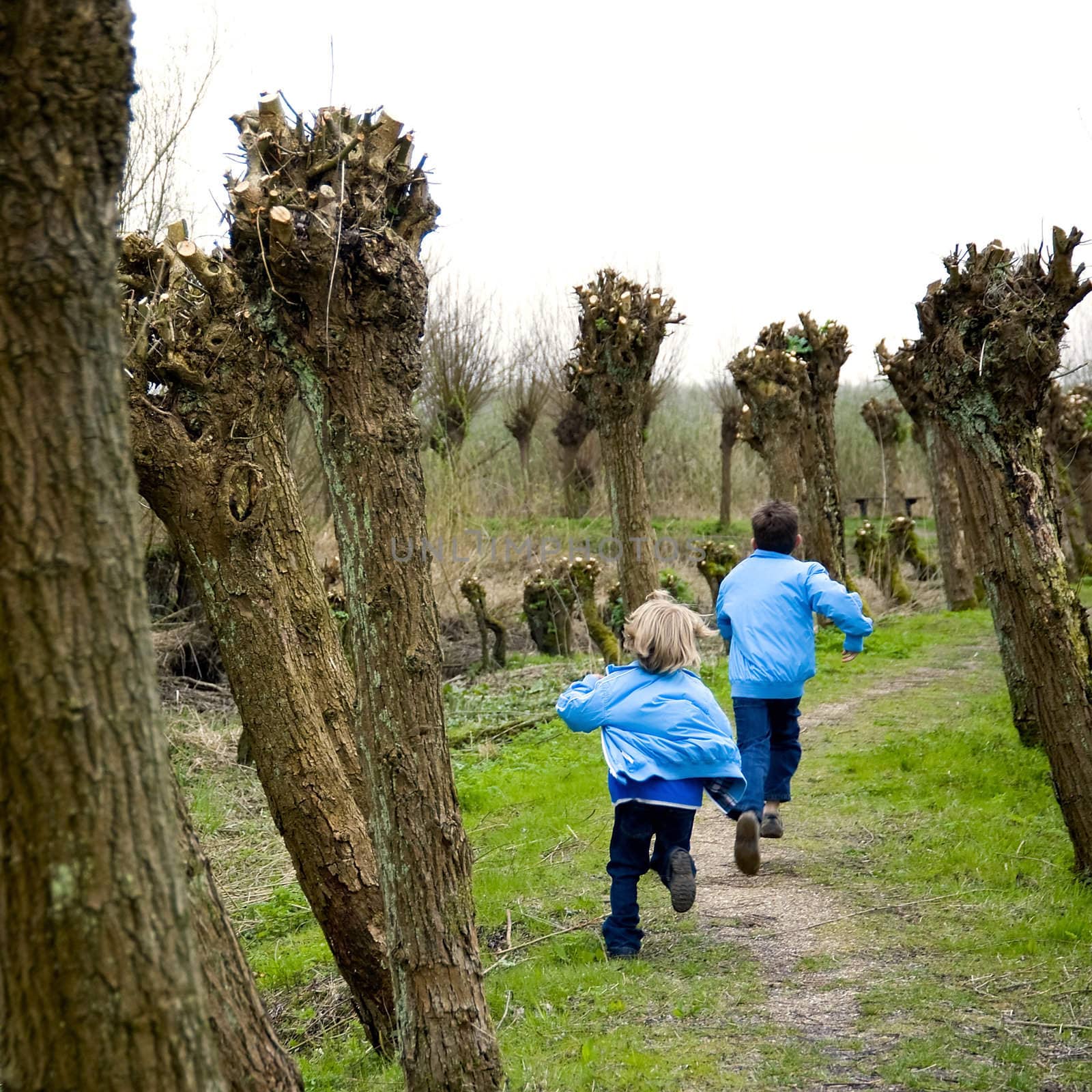 Two children are running through the woods