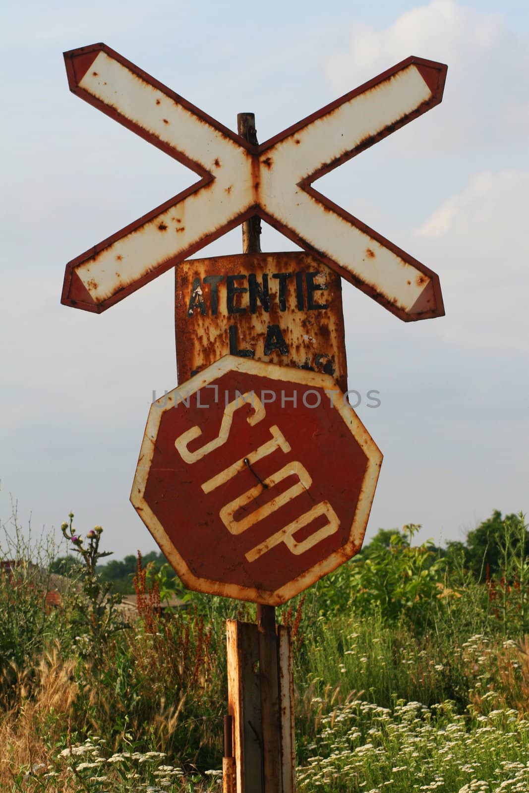 Rusty stop sign by timscottrom