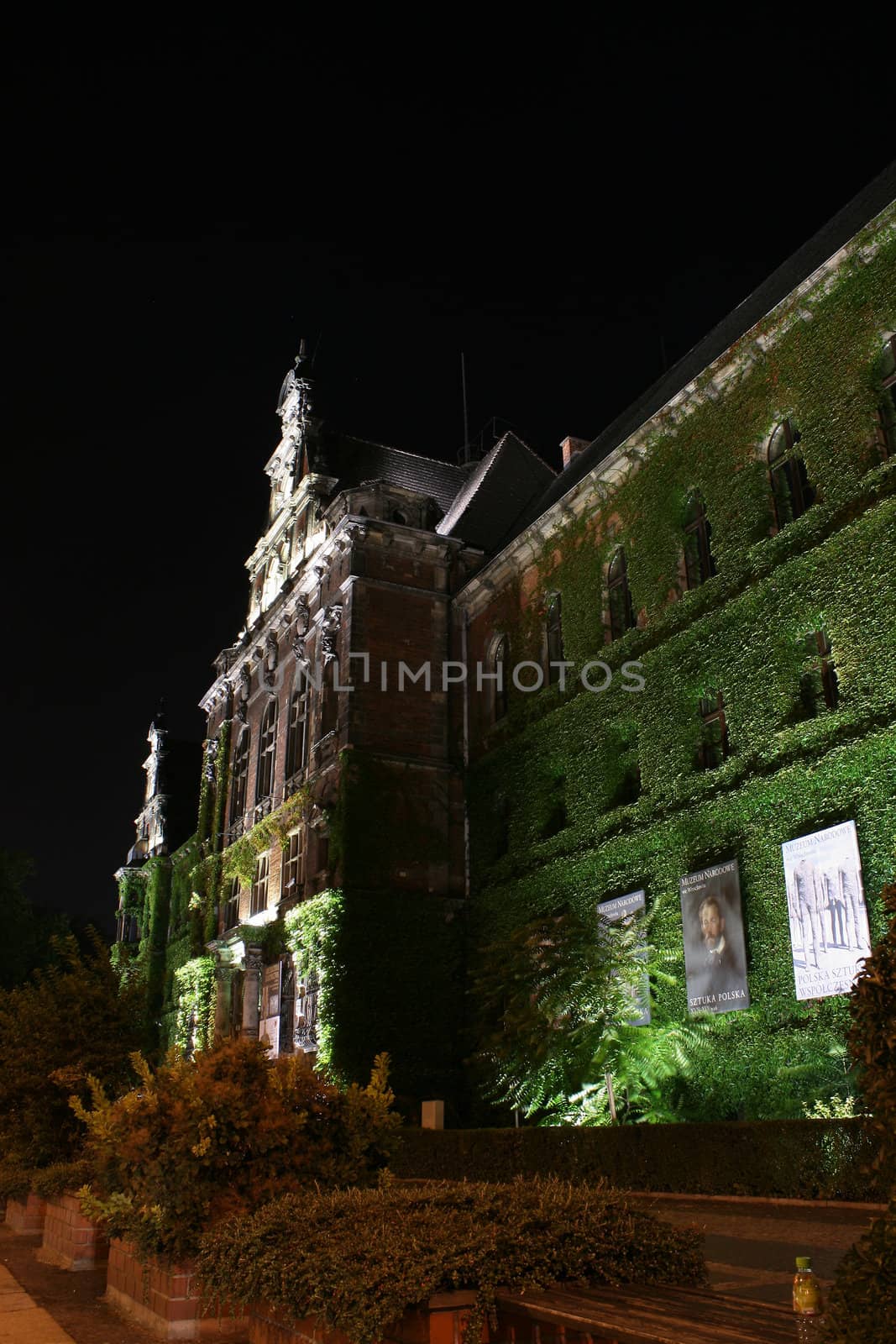 national museum, night shot, Wroclaw, Poland green ivy