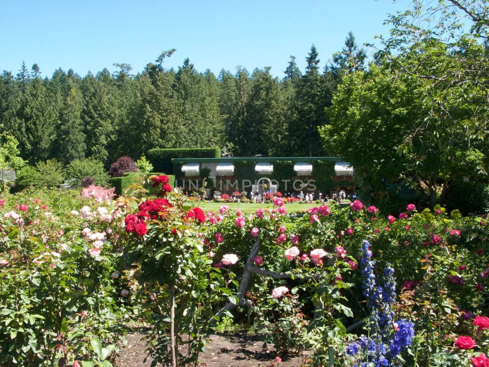 Butchart Garden in Victoria, British Columbia