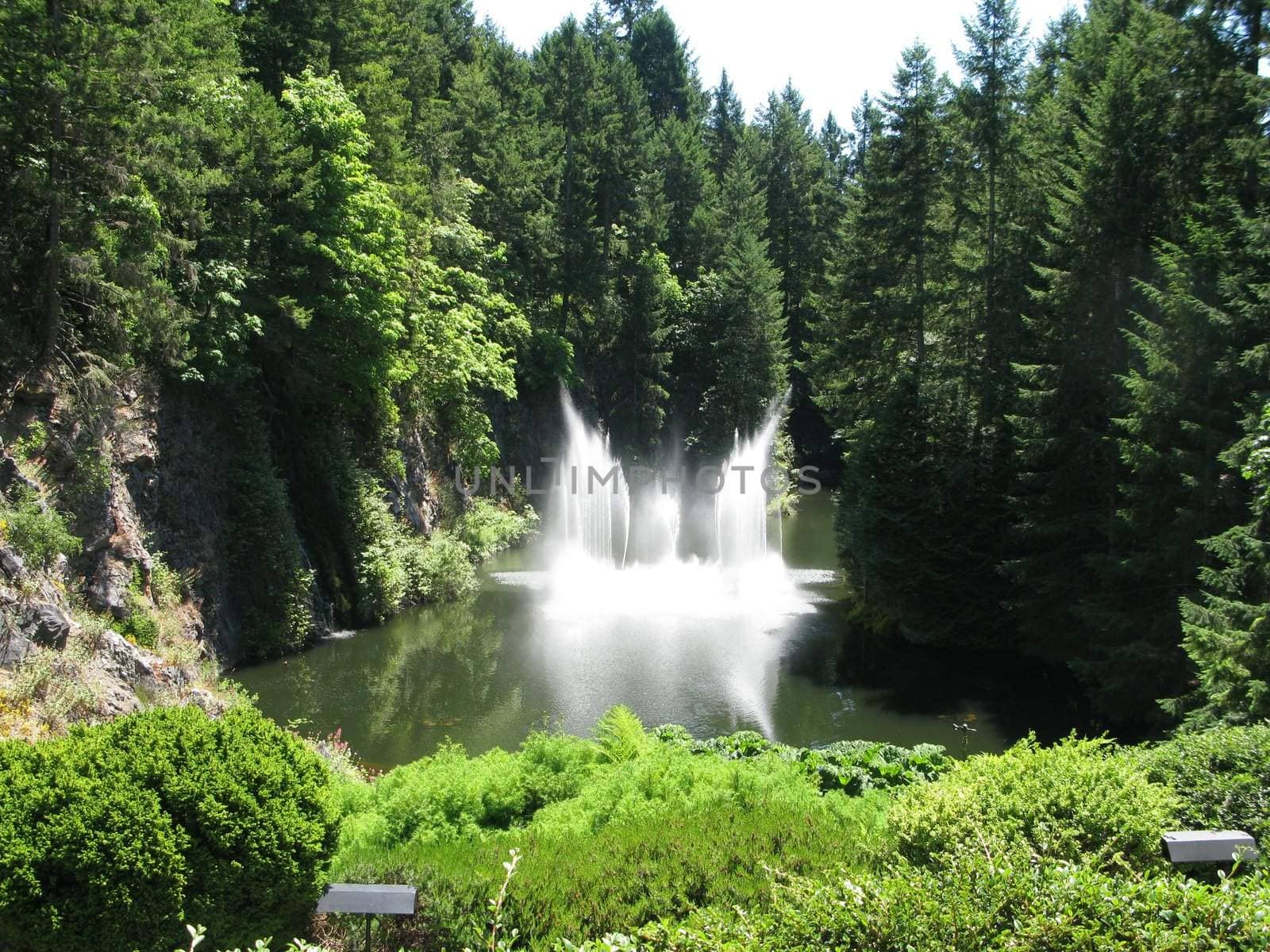 Butchart Garden in Victoria, British Columbia