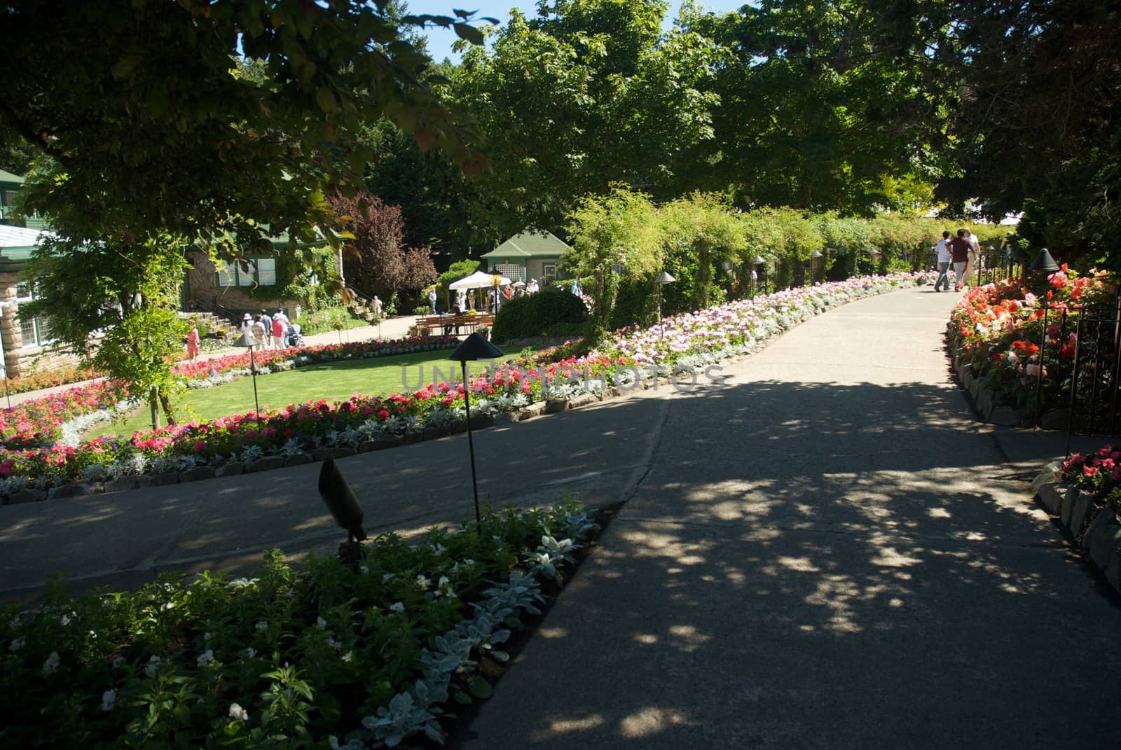 Butchart Garden in Victoria, British Columbia