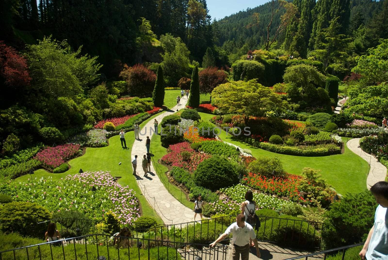 Butchart Garden in Victoria, British Columbia