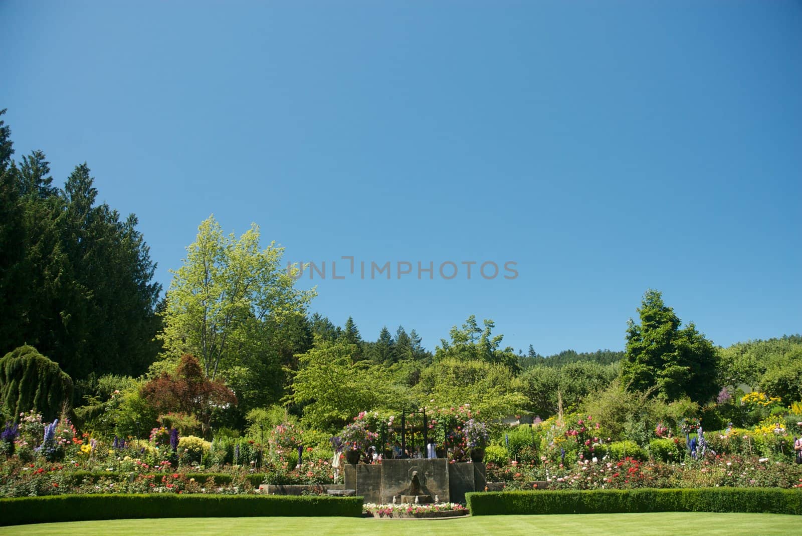 Butchart Garden in Victoria, British Columbia