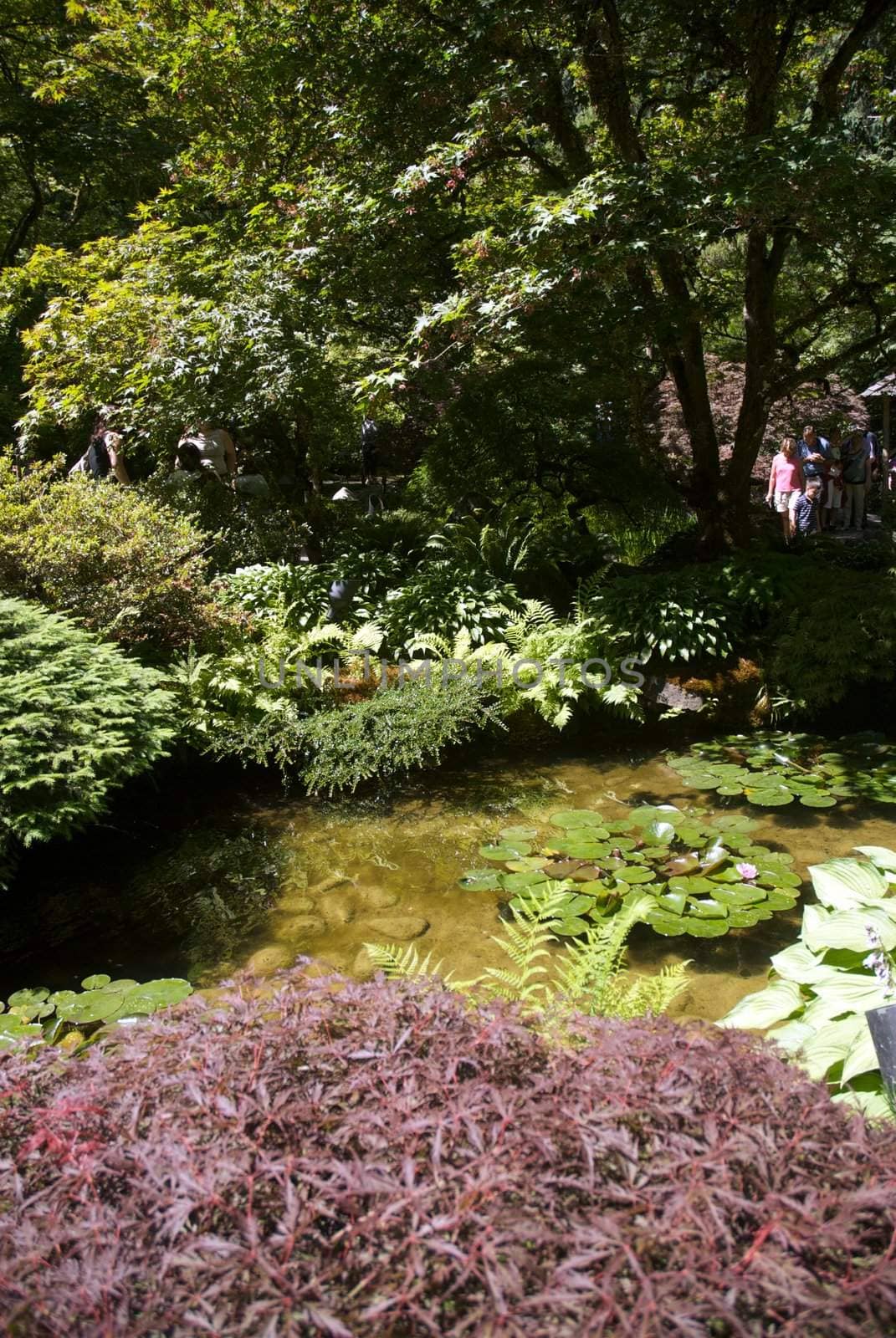 Butchart Garden in Victoria, British Columbia