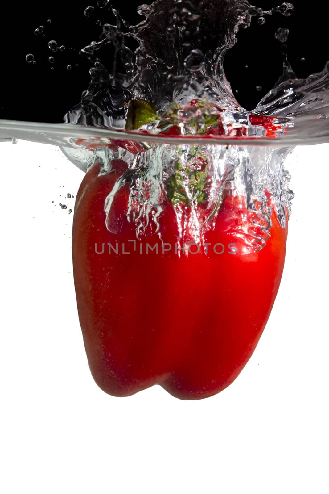 one red paprika thrown in water with black and white background