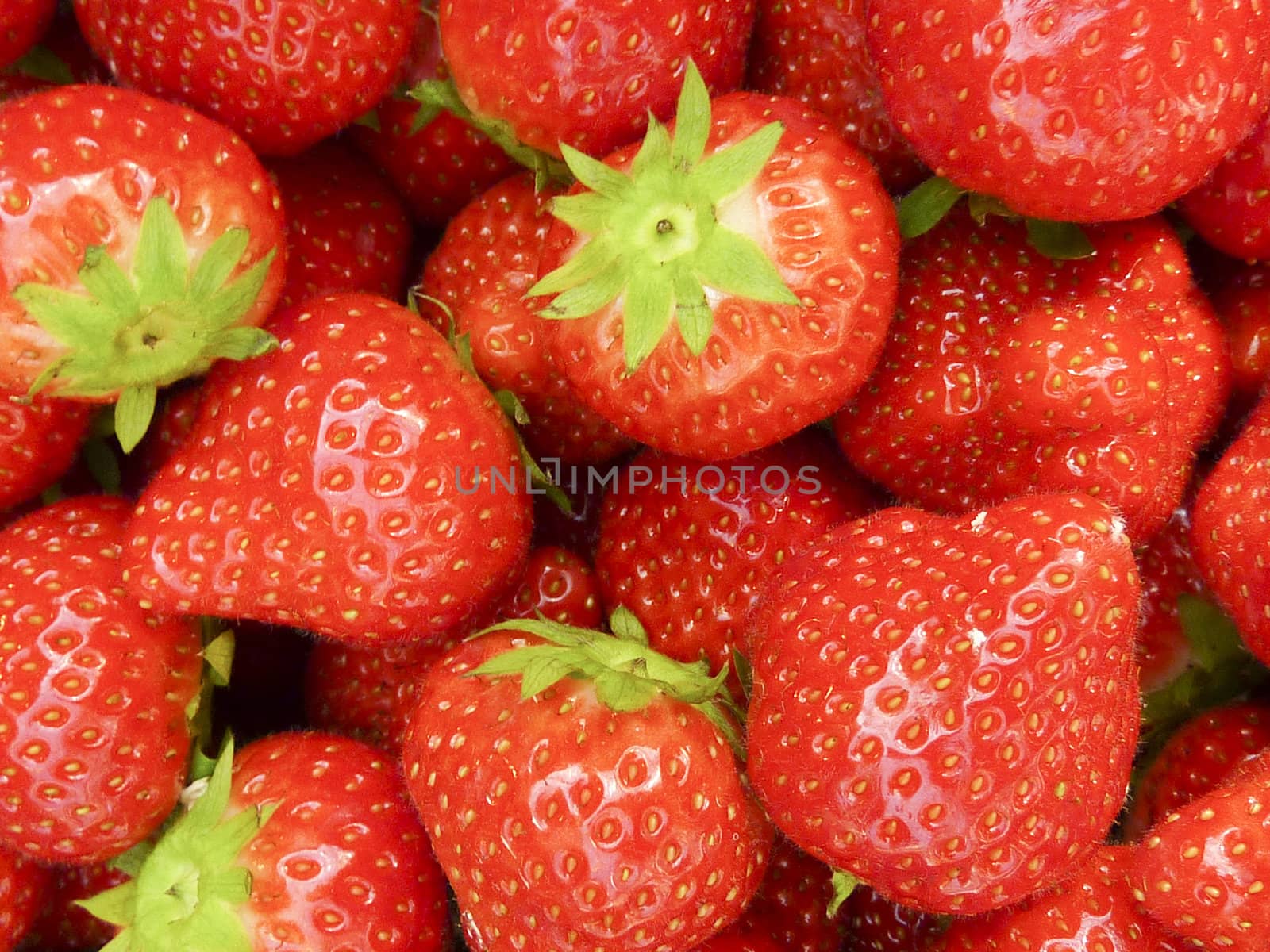 Strawberries by yorkman