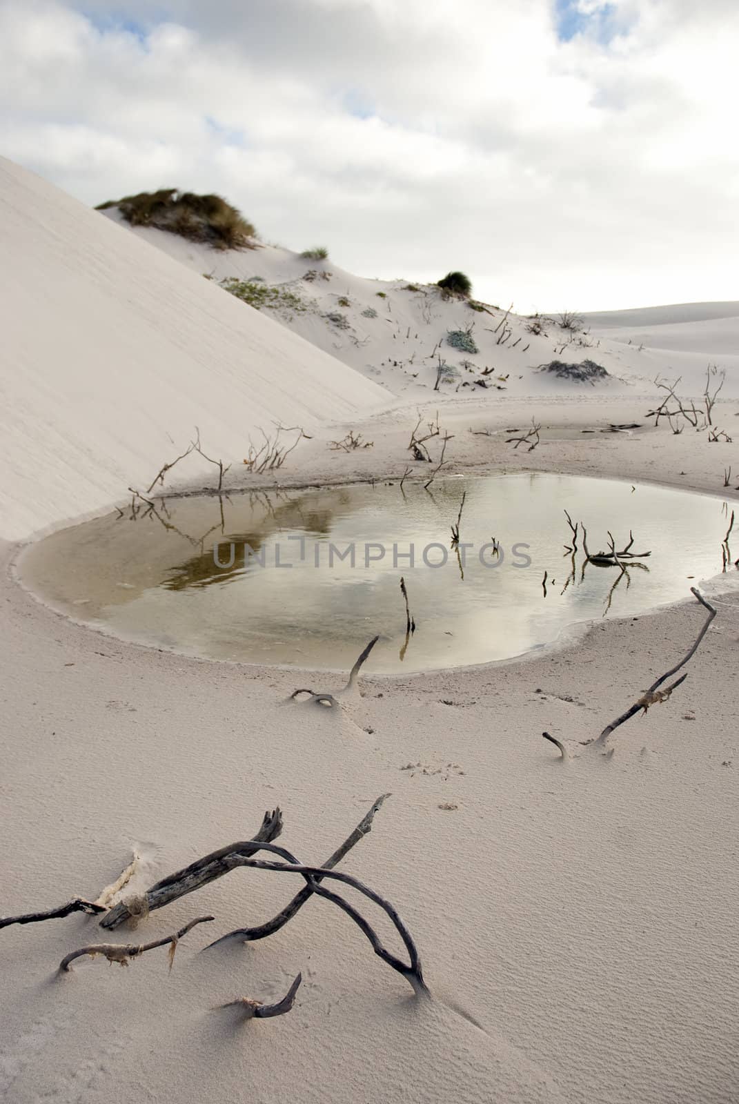 Small pond in desert scene, at the foot of a dune, with cloudy skies above
