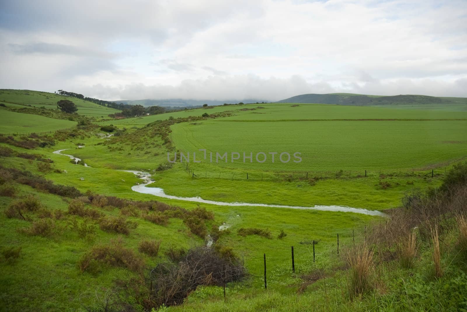 Green fields with stream running through on a cloudy day
