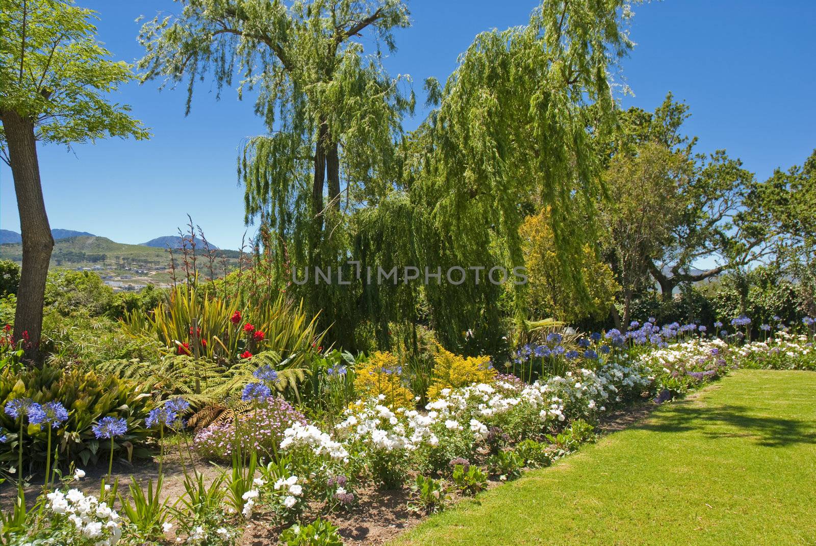Colourful garden with trees in the background and grass in the foreground