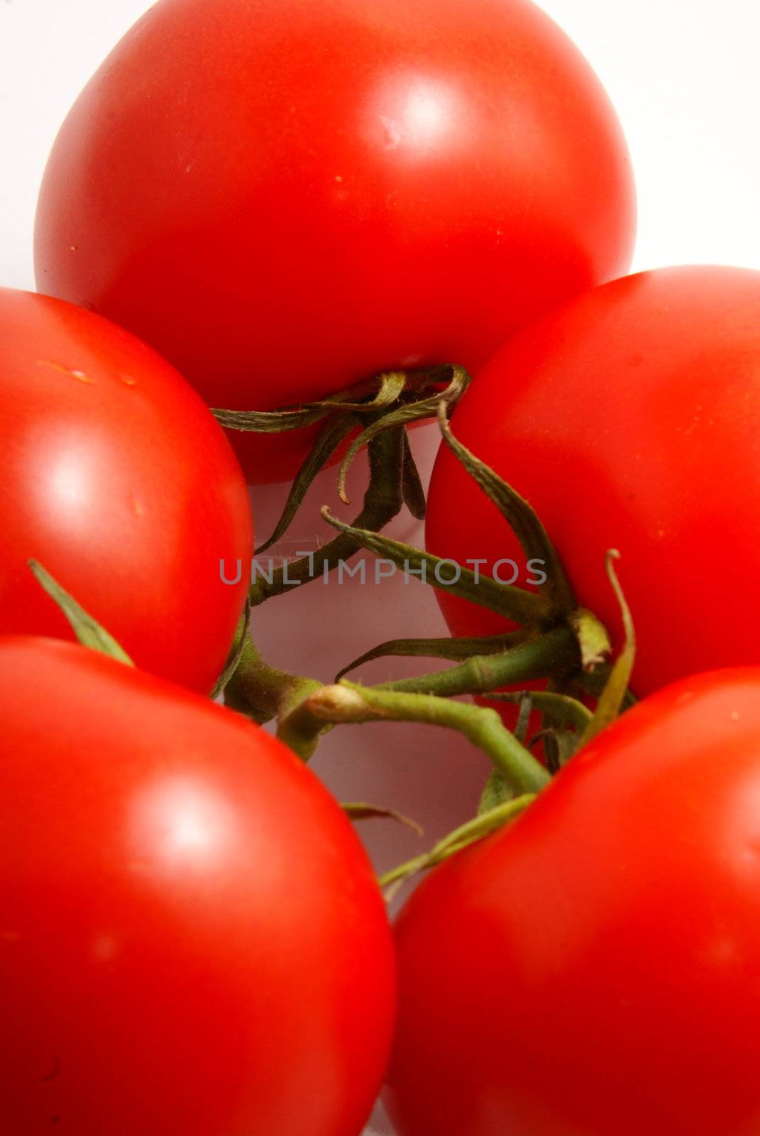 Fresh tomatoes on white background