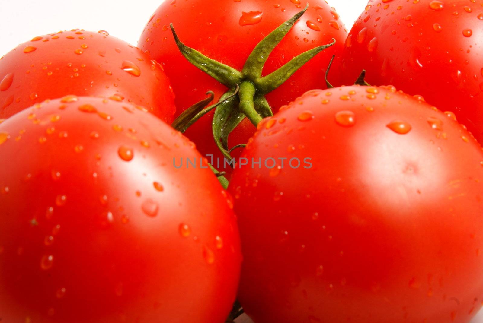 Fresh tomatoes on white background