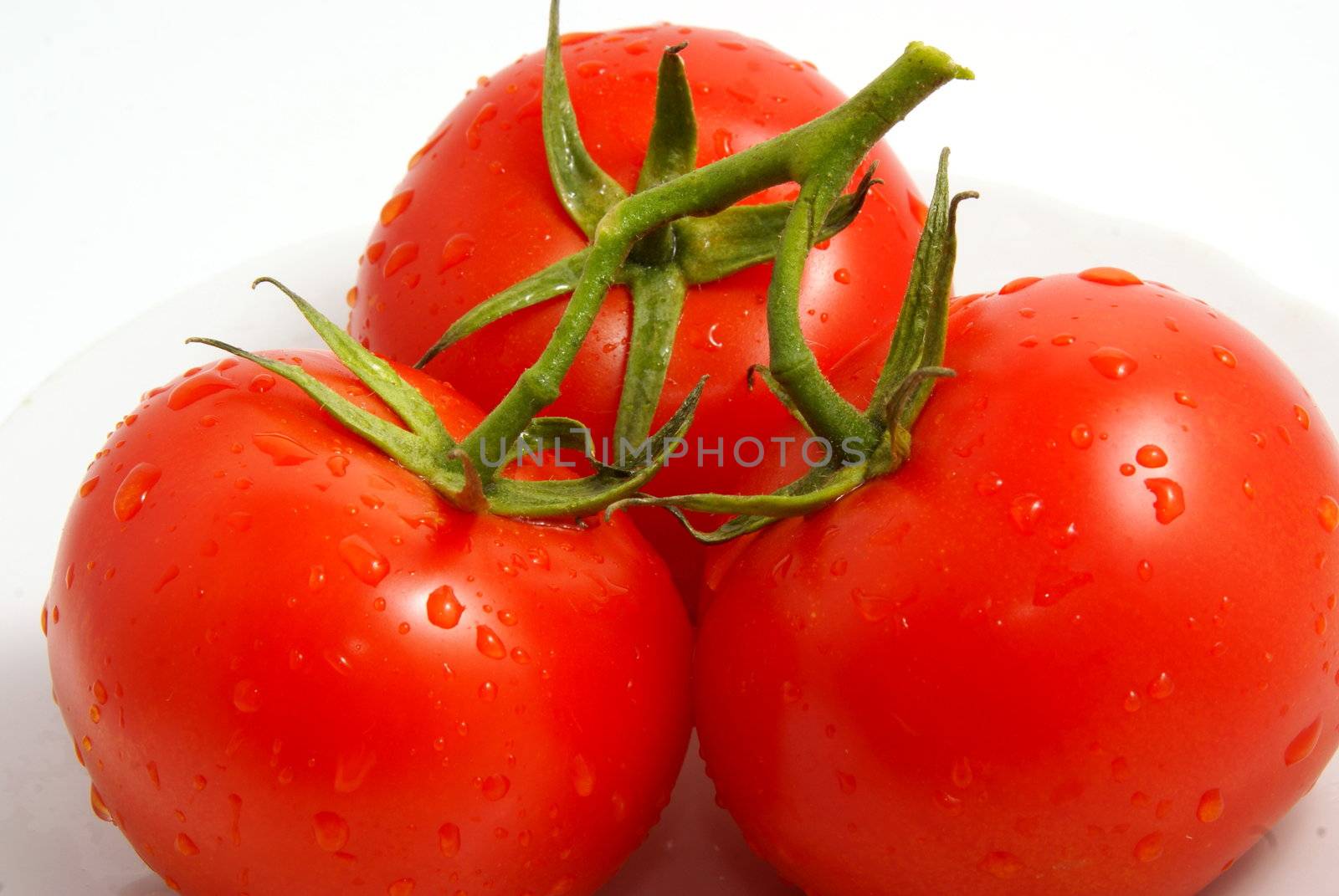 Fresh tomatoes on white background