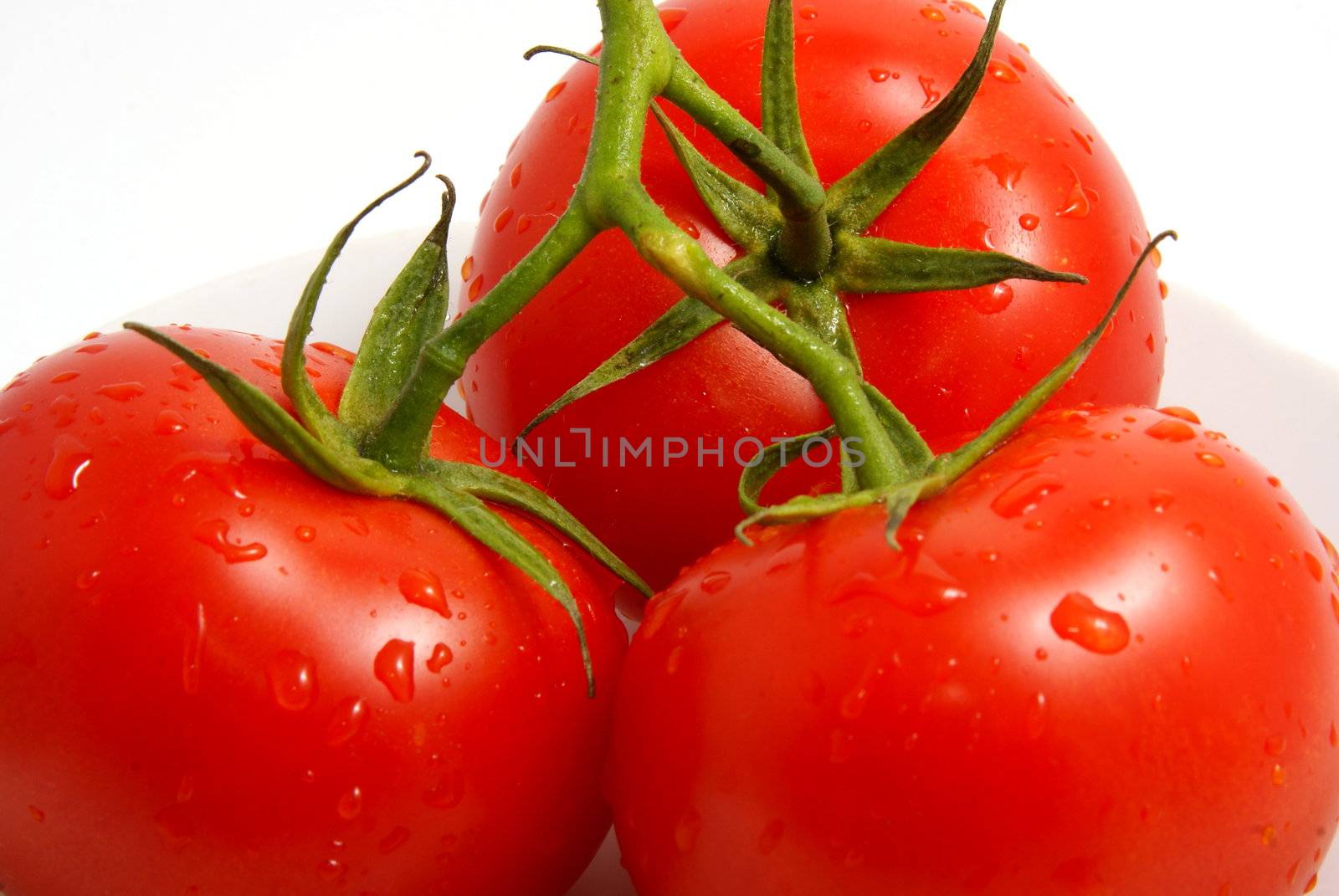 Fresh tomatoes on white background