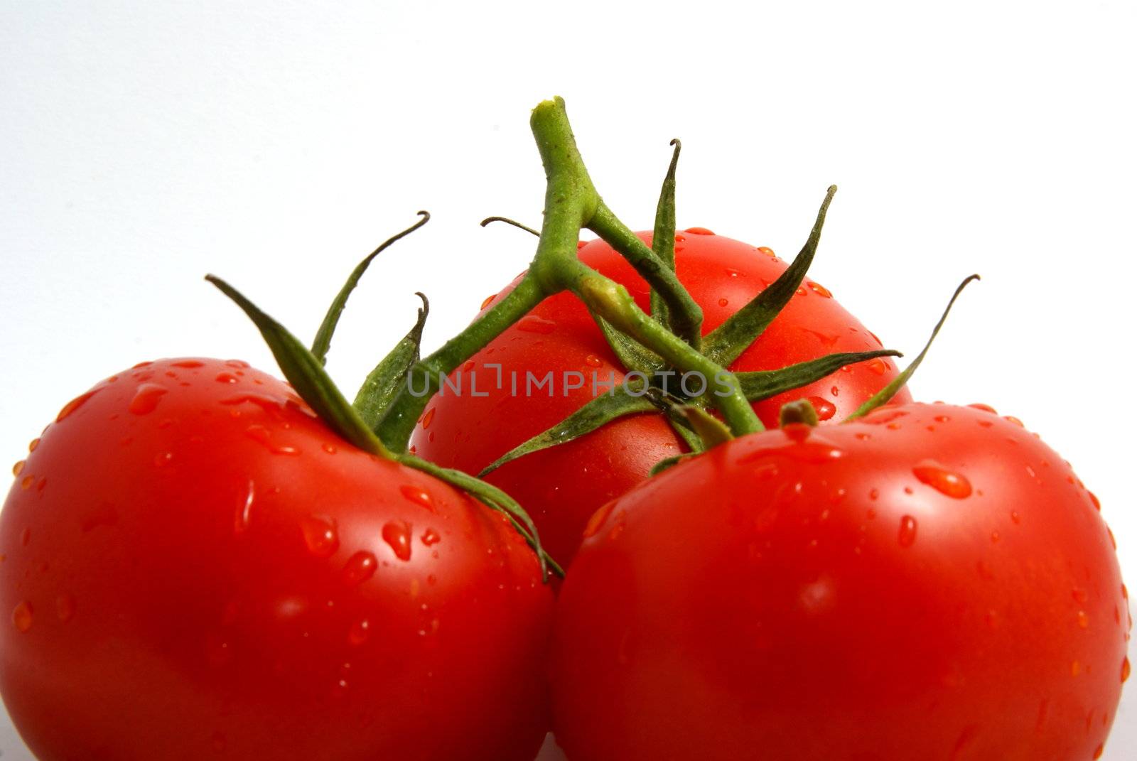 Fresh tomatoes on white background