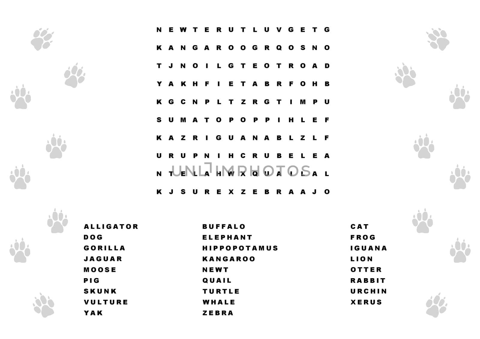 Animal word search game
