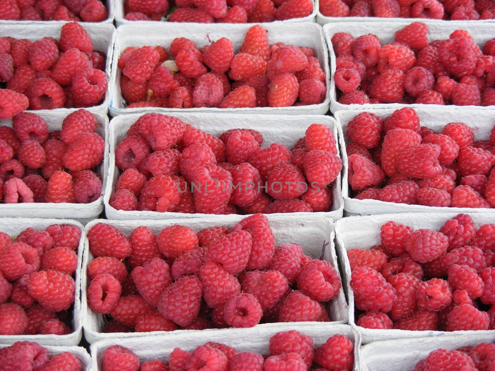 Photo of lots of boxed Raspberries
