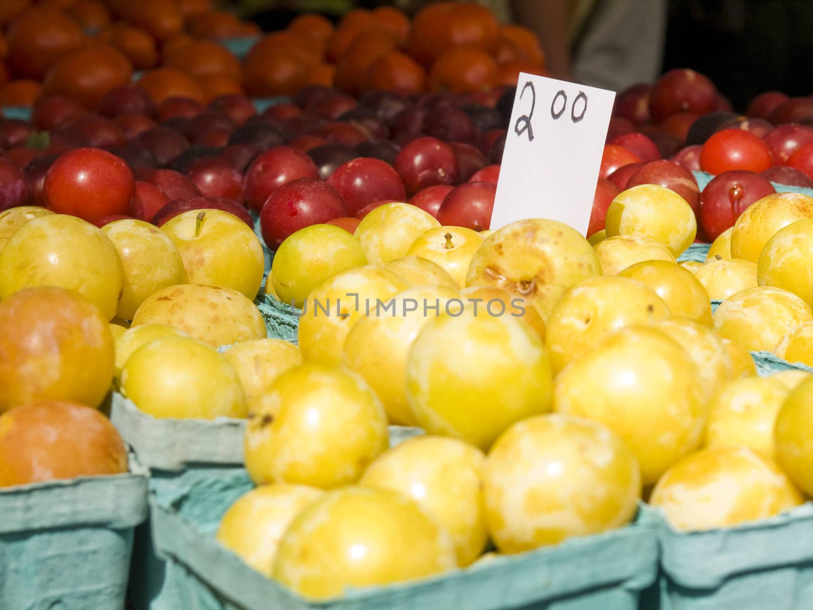 Market groceries by antonprado