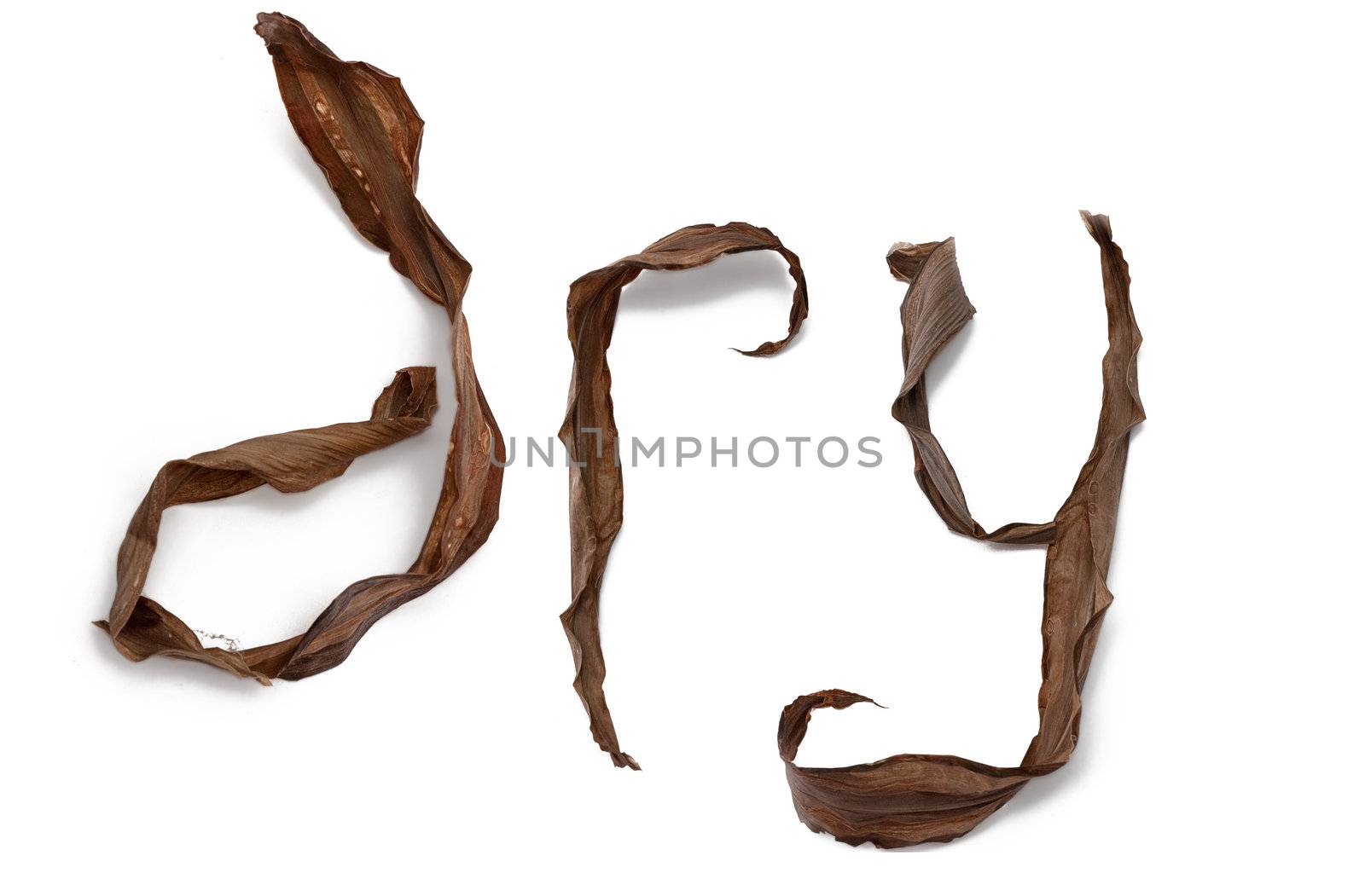 Letter-shaped dry leaves assembled in word isolated on white background