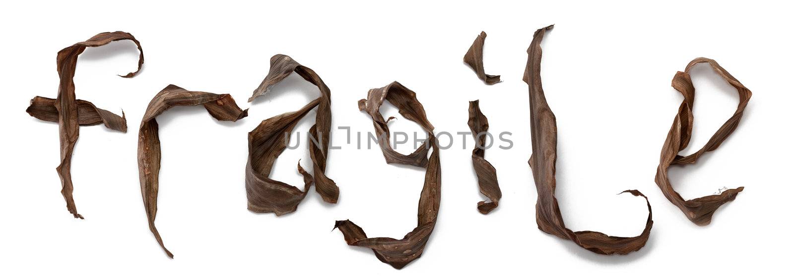 Letter-shaped dry leaves assembled in word fragile isolated on white background