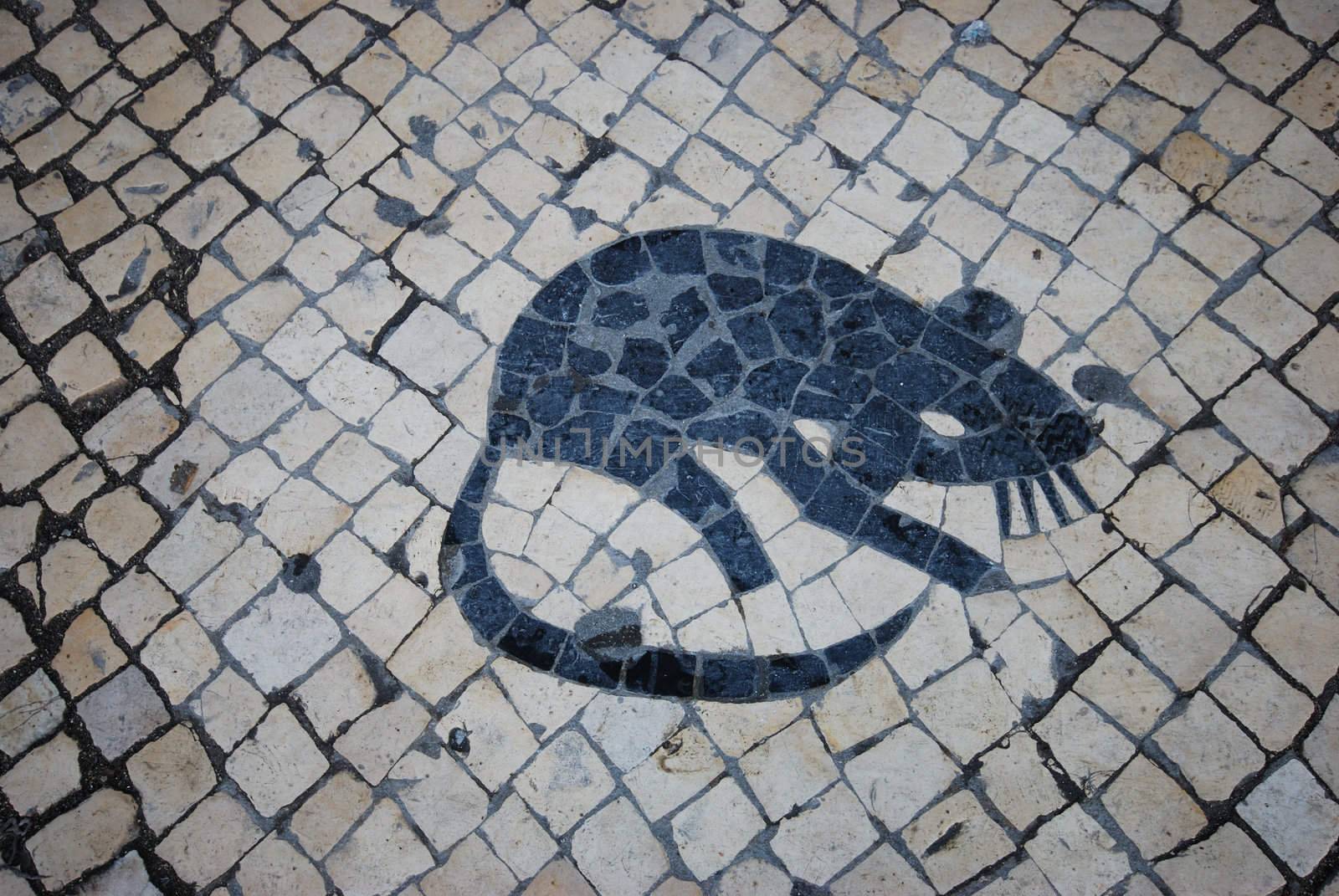 mosaic of a rat at the Largo do Rato, Lisbon