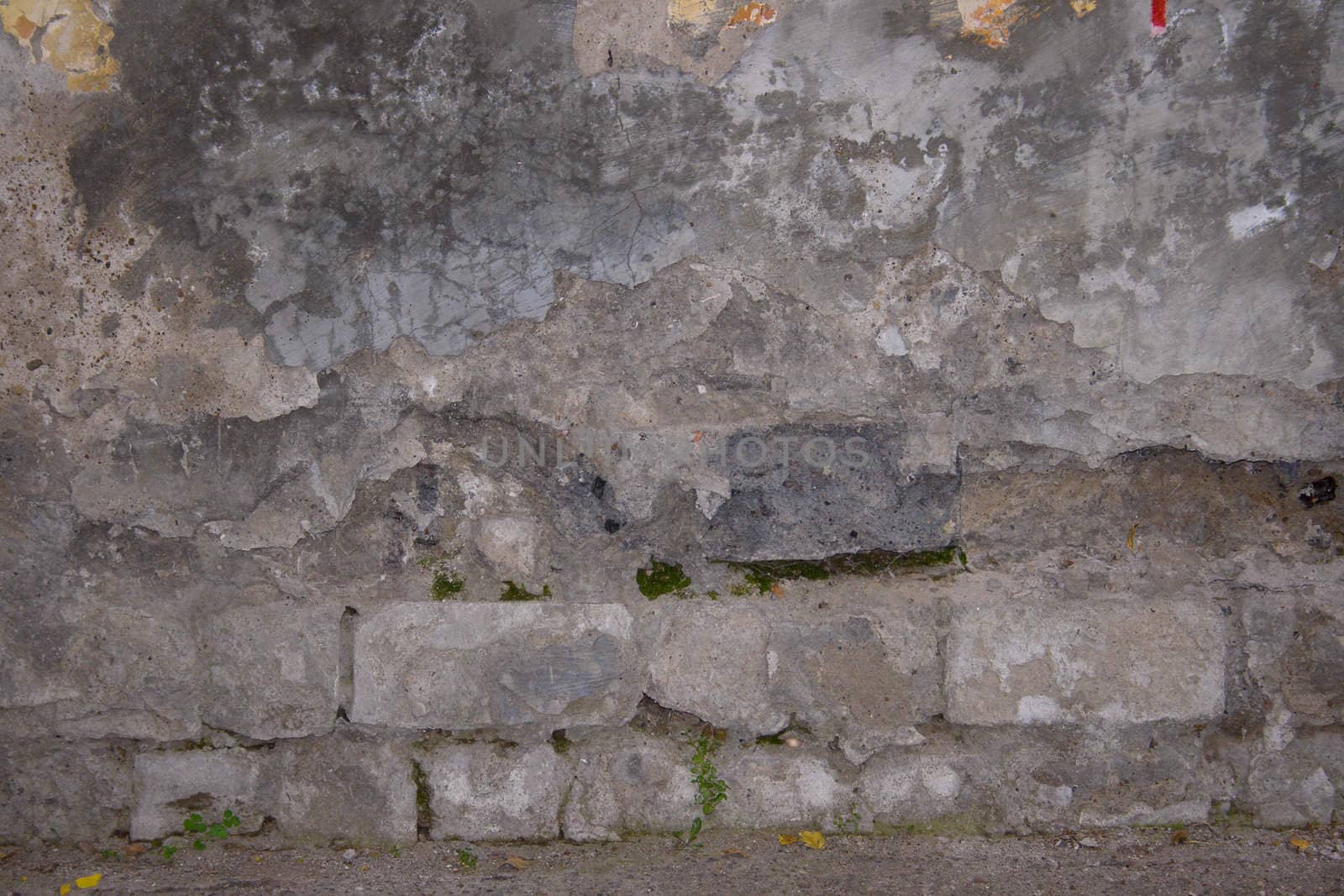 Old wall of the thrown house. A texture