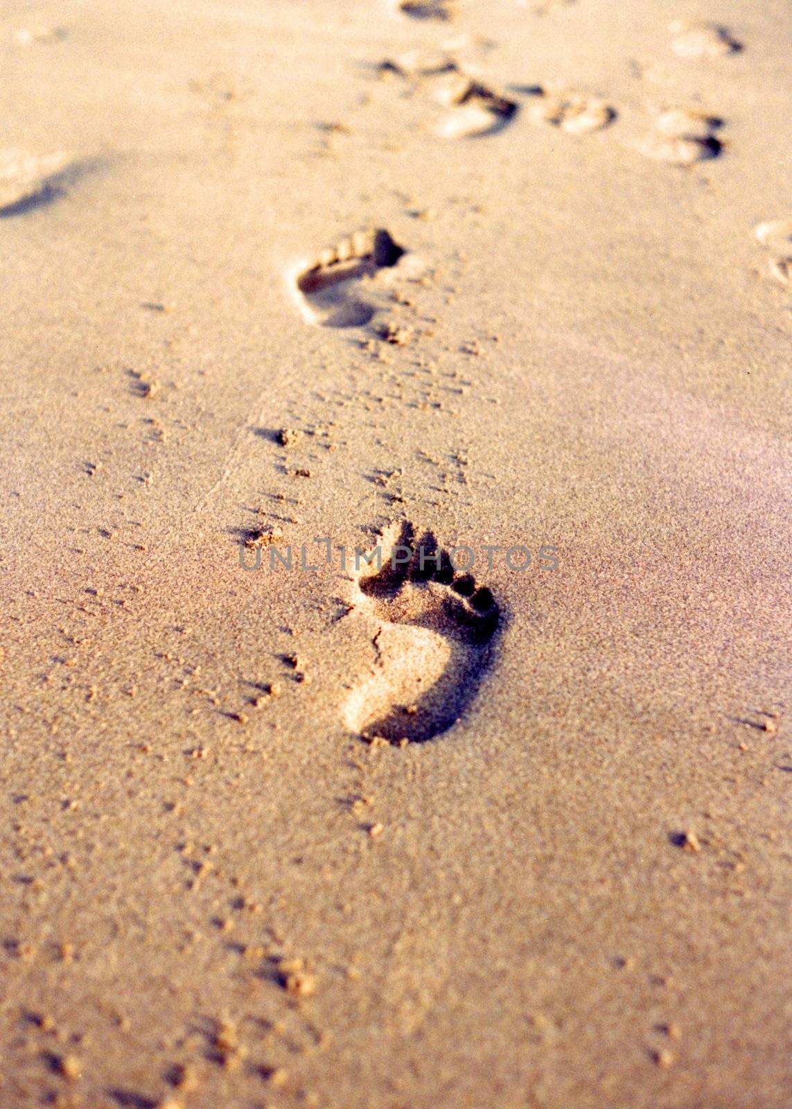 Fresh footprints on sand leading toward horizon