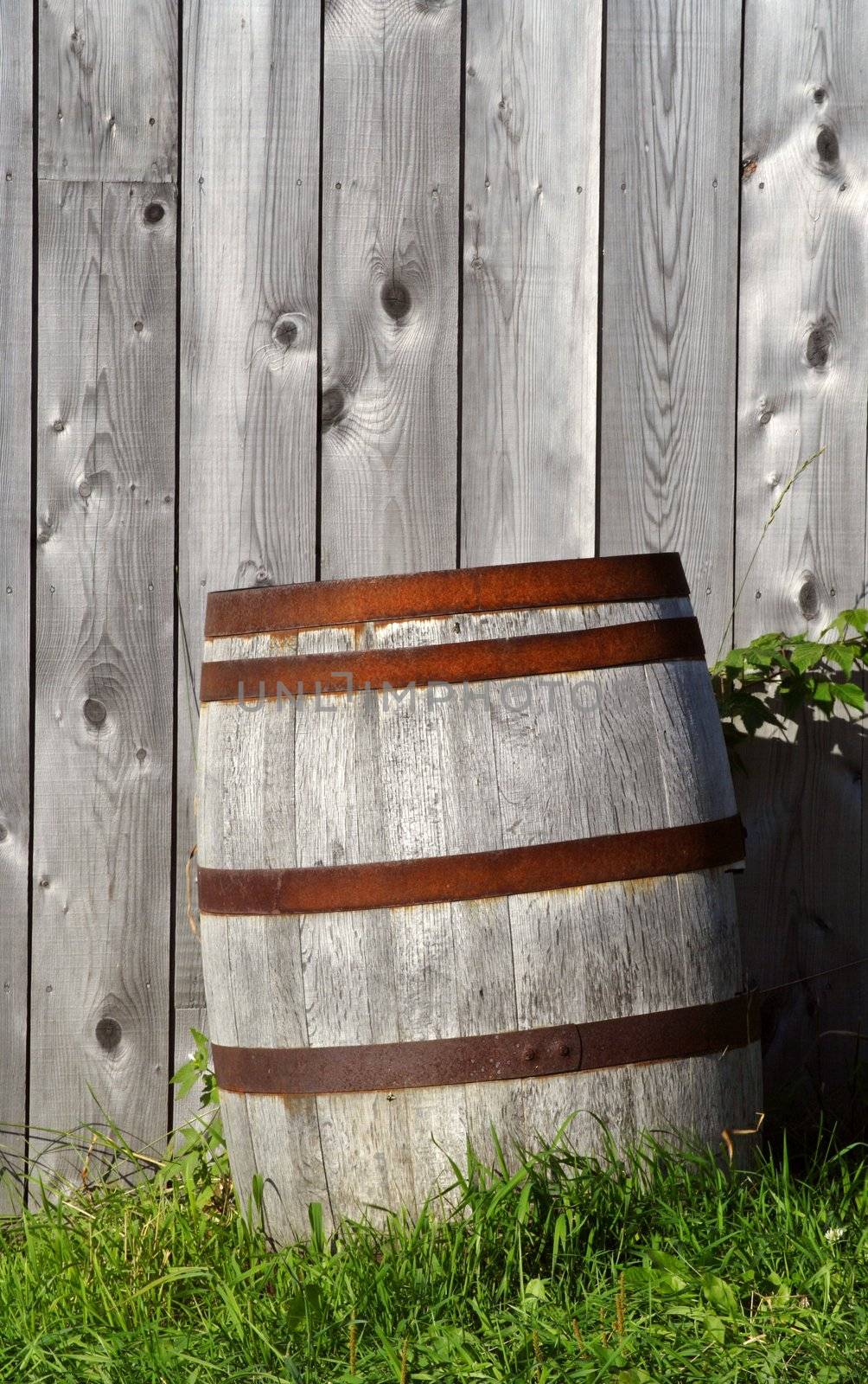 barrel on grass near a wood wall