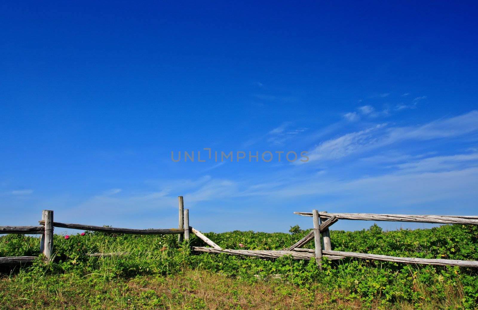 country landscape with fence and blue sky