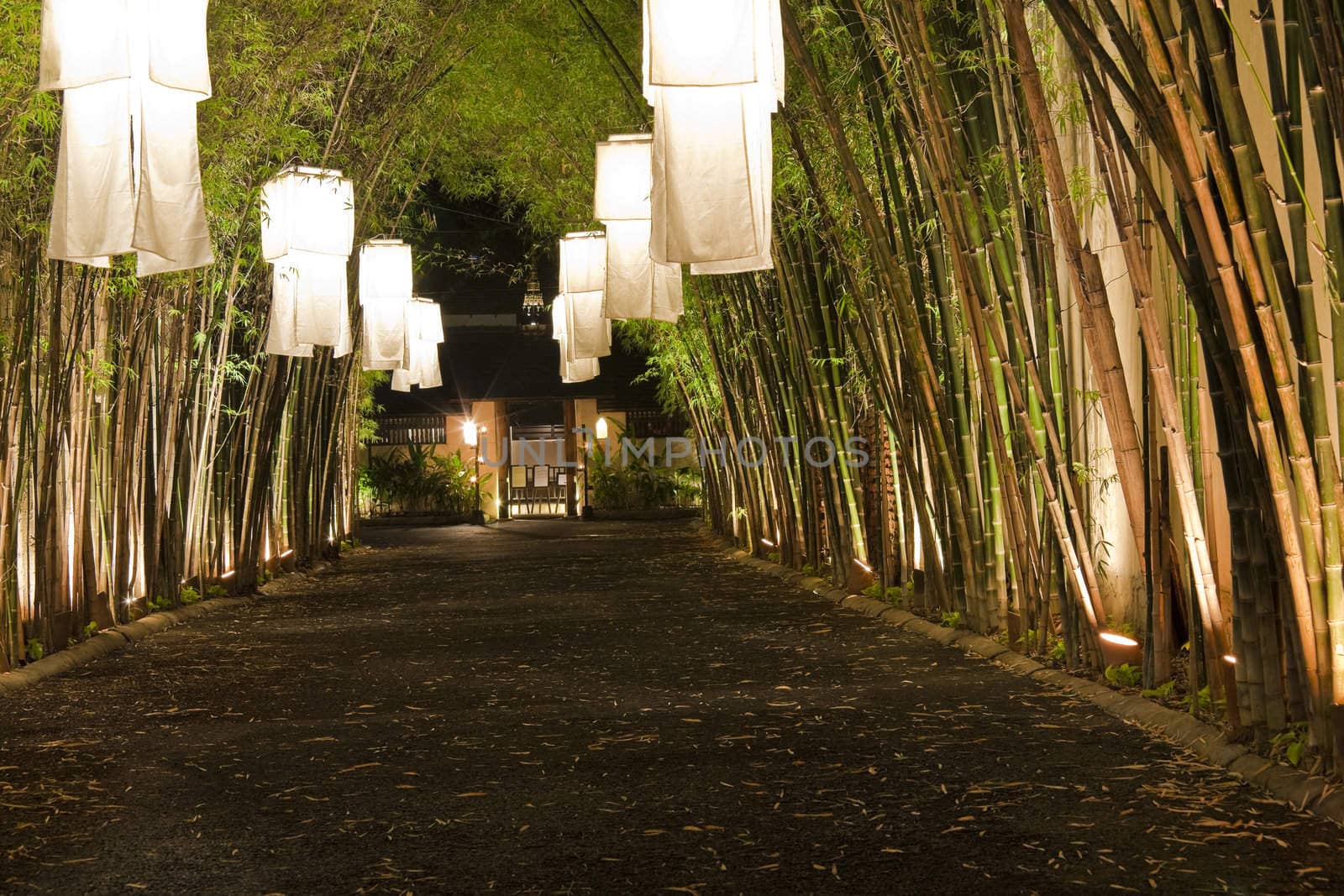 Asian lanterns in a bamboo alley. Night scene.