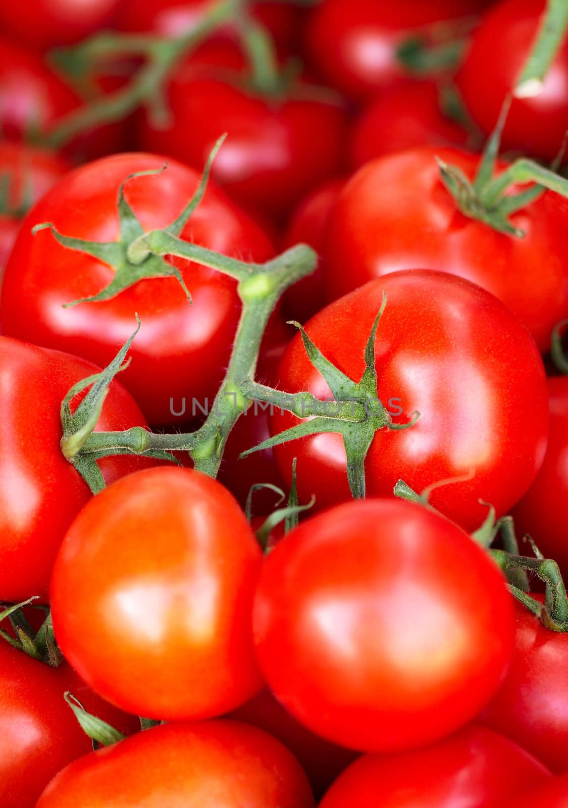 Fresh tomatoes on street market for sale