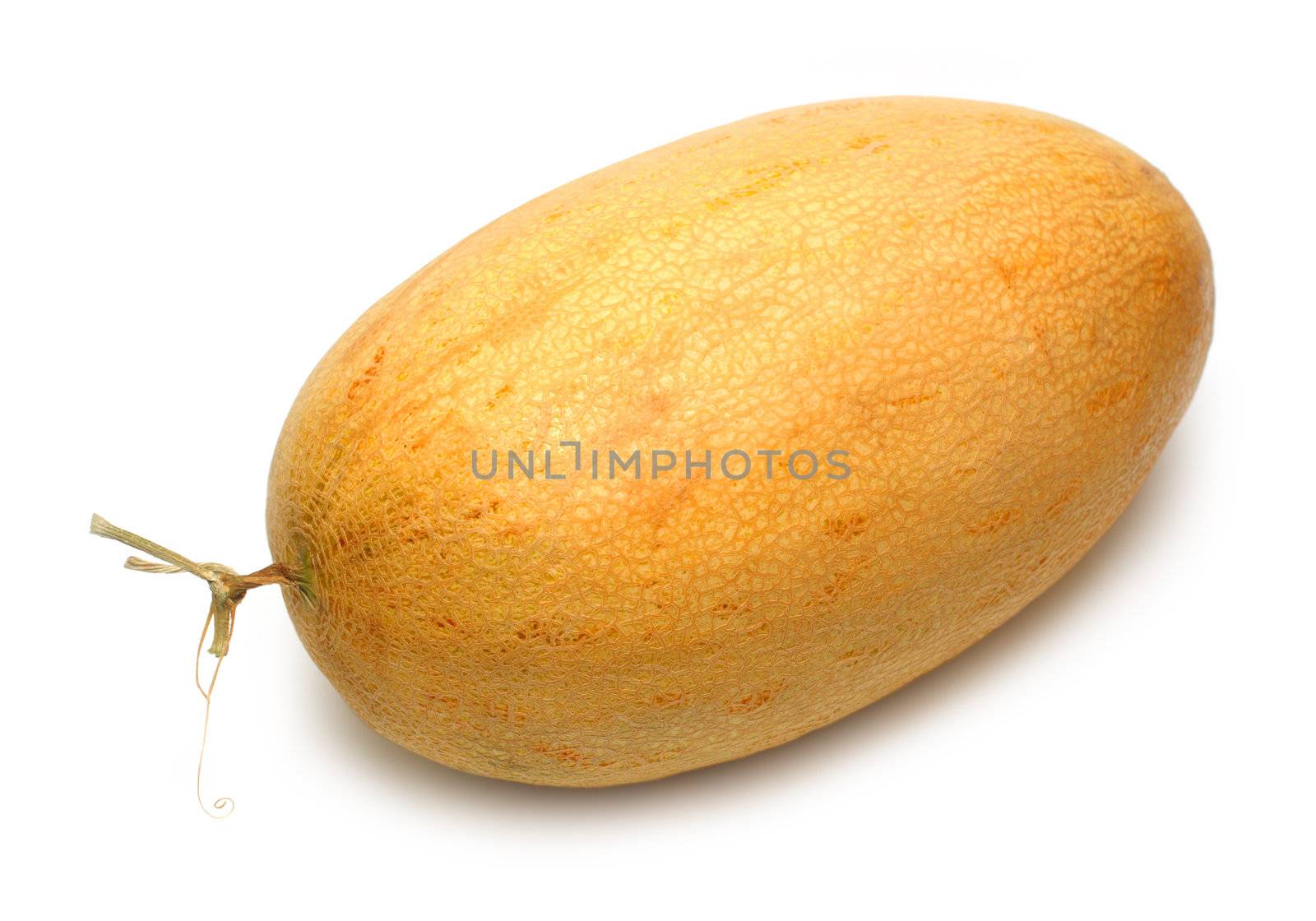 large yellow melon isolated on white