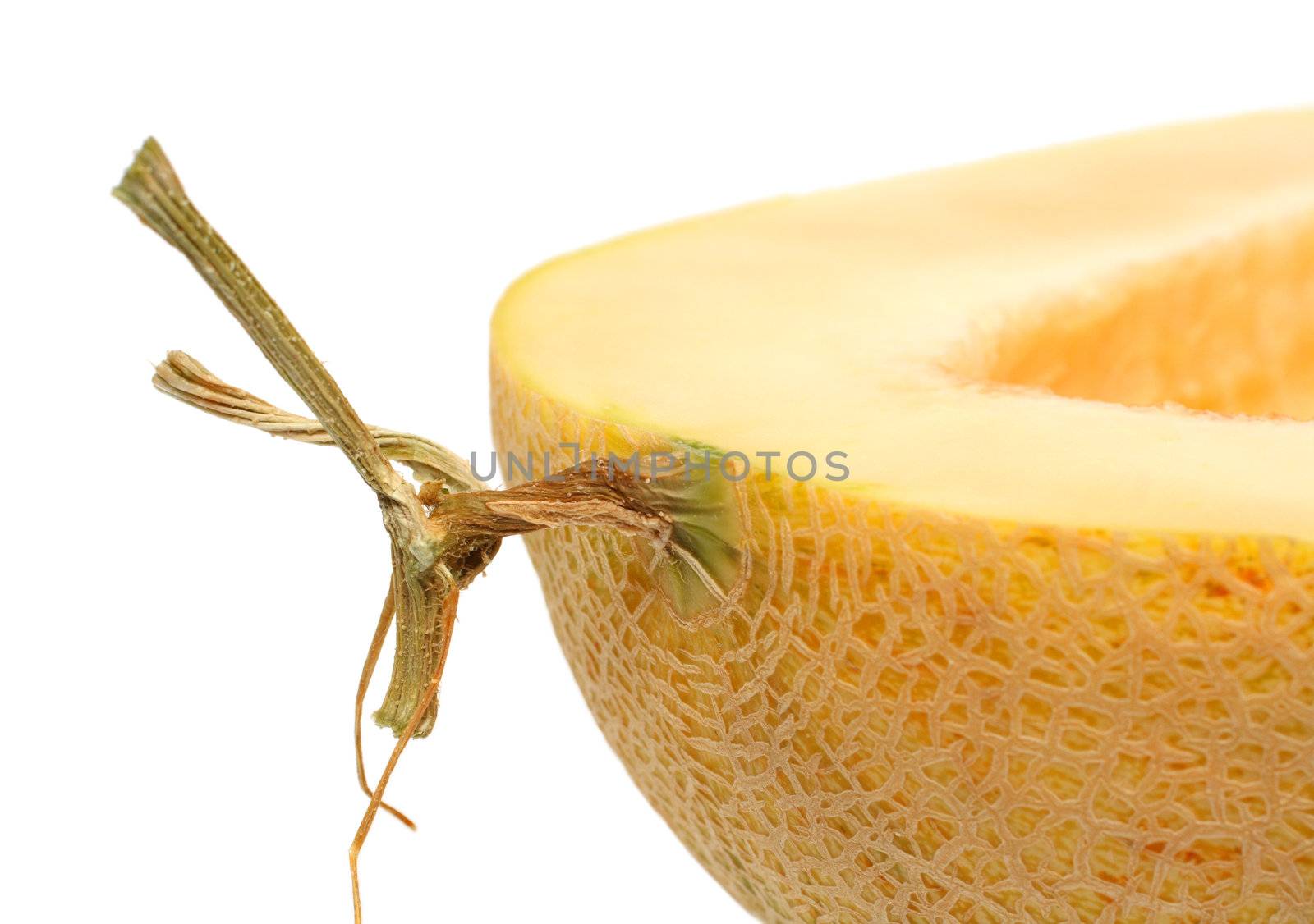 close-up fragment of melon isolated on white