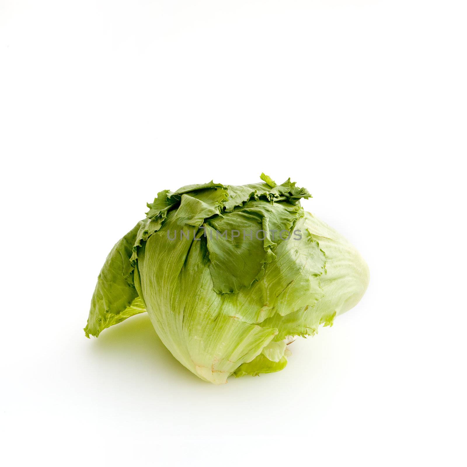 A typical head of lettuce isolated on white