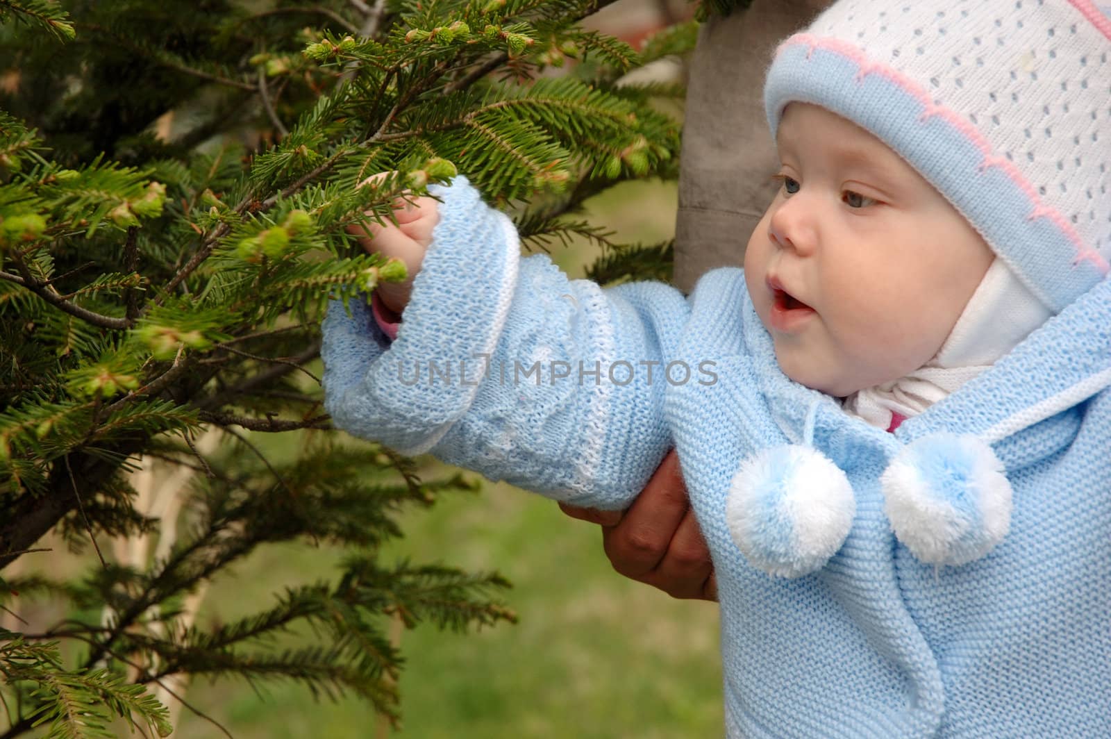 Pretty little girl play with green conifer branchlets.