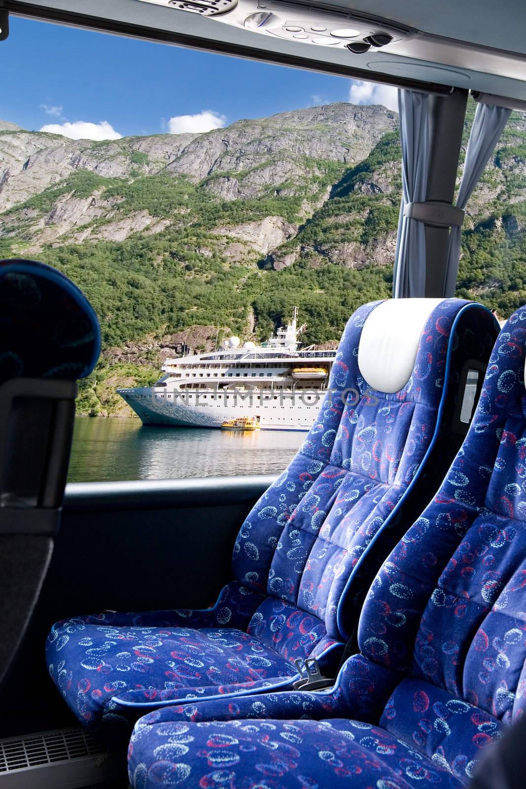 Norwegian Fjord Bus Tour by leaf
