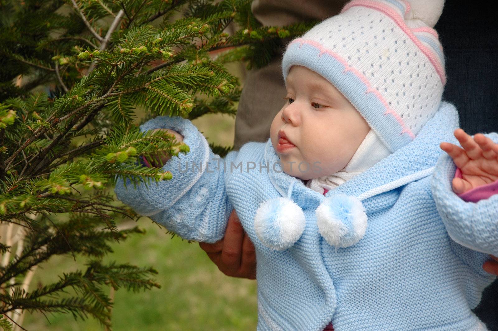 Pretty little girl play with green conifer branchlets.