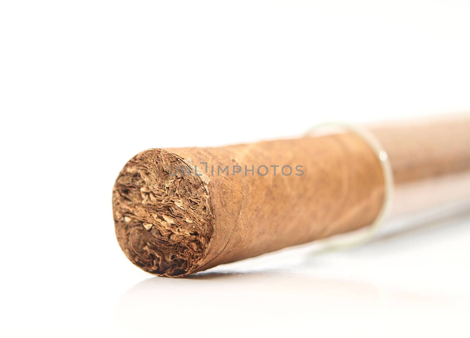 Cigars in glass capsule by Arvebettum