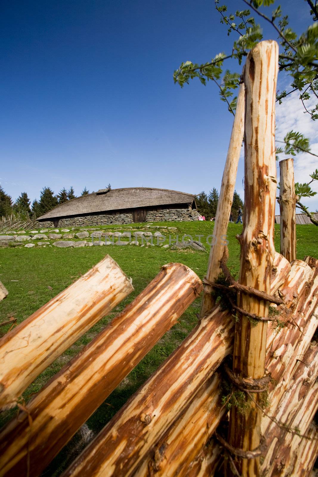 A viking long house on a historic farm