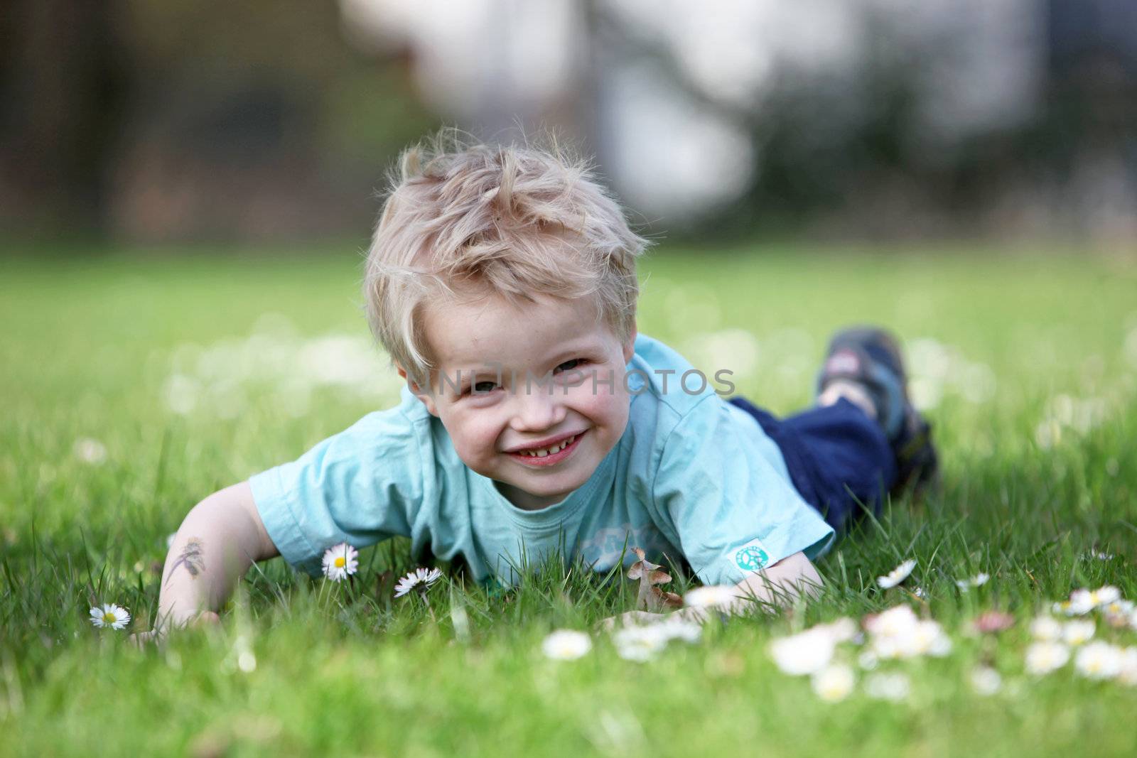 Little boy is laughing on a green meadow