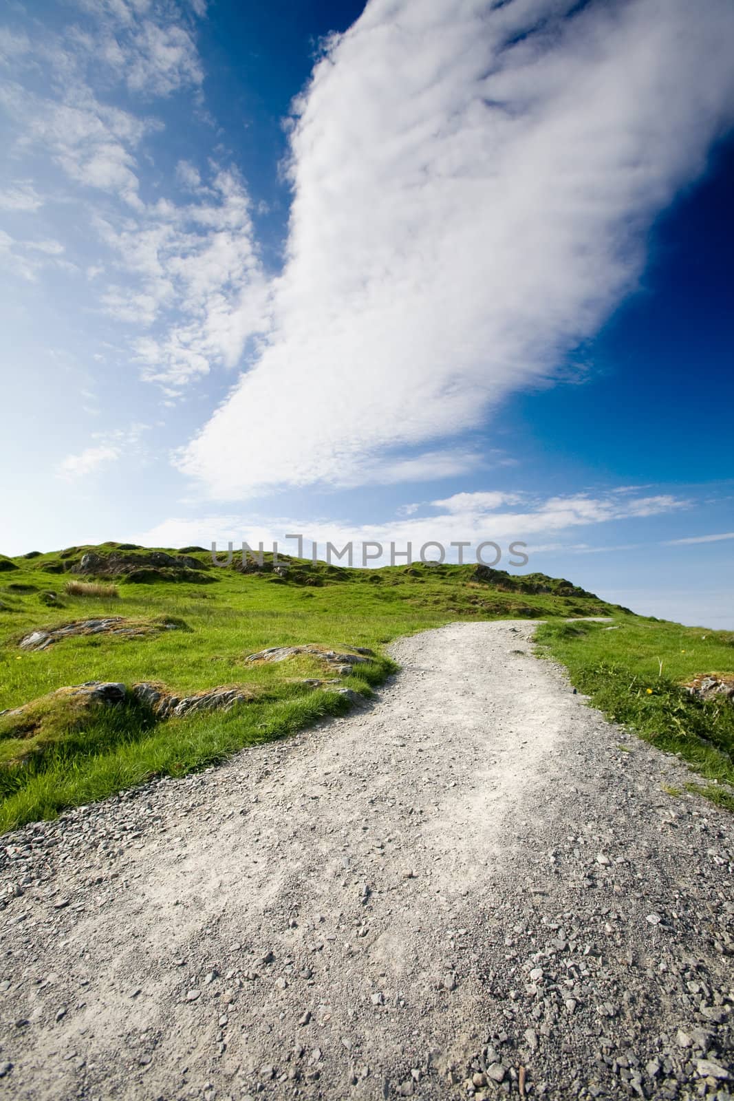 A nature trail over a meadow with a dark blue sky