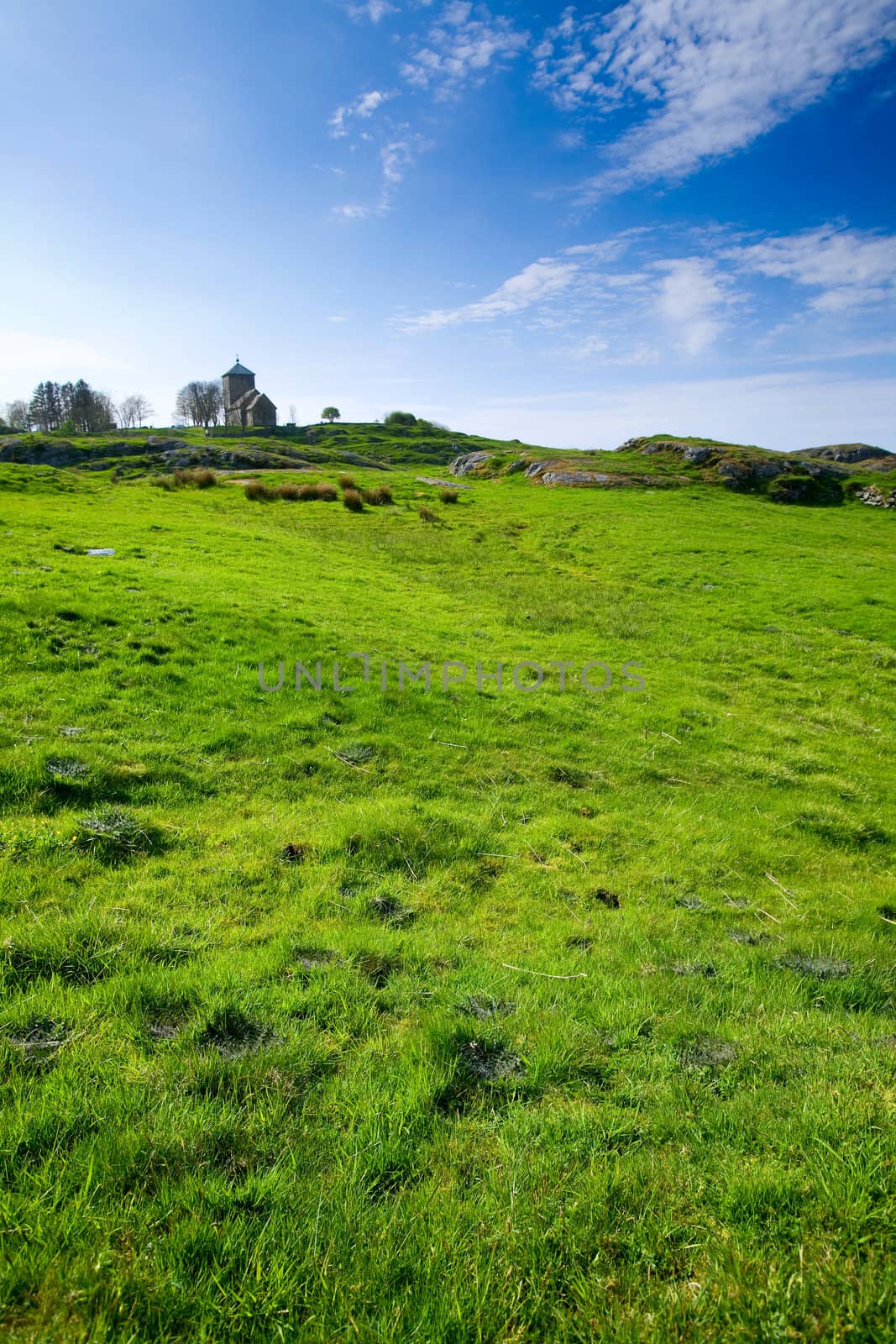 Meadow with Church by leaf