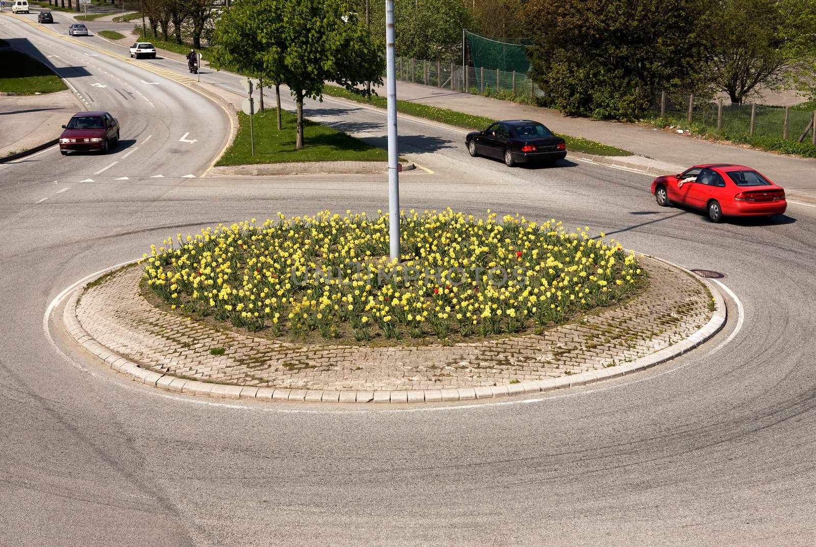 A traffic circle with flowers planted in the middle