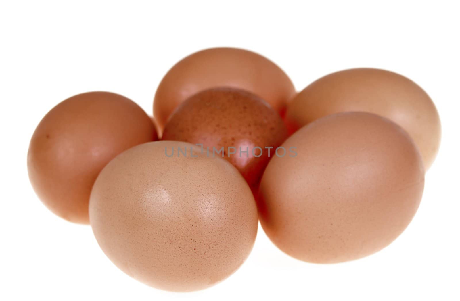 Six fresh egg with brown crust isolated on white background