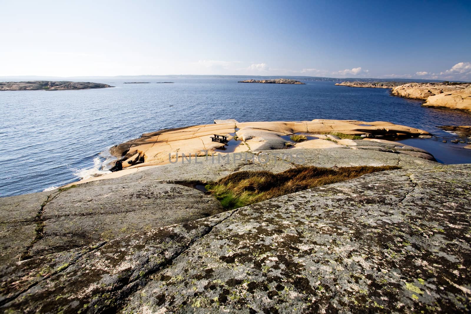 Norway Coast by leaf