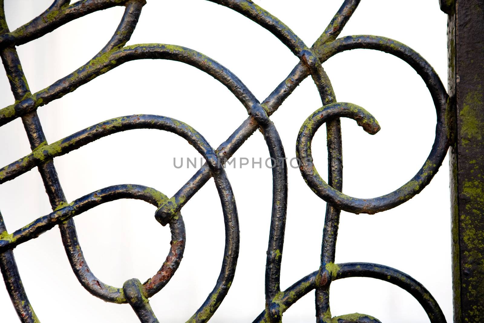 Wrought Iron by leaf