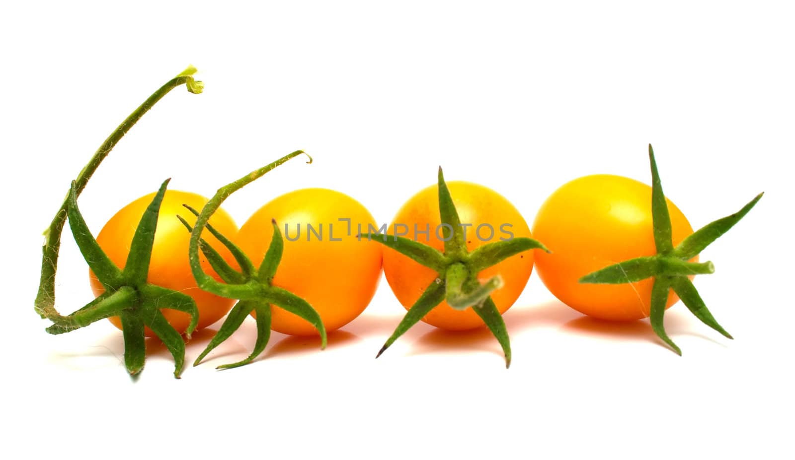 perfect yellow tomatoes on the white. Full isolation, shallow DOF.
